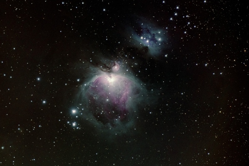 Orion Nebula